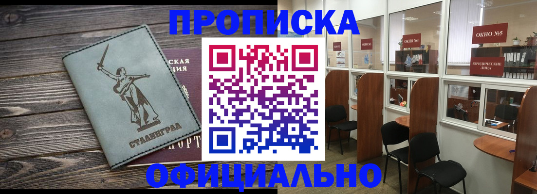 прописка поиск в Павловске